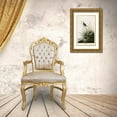 thumbnail image 3 of Vintage Apple Collection 16x24 Gold Ornate Wood Framed with Double Matting Museum Art Print Titled - Sharp Tailed Finch, 3 of 4