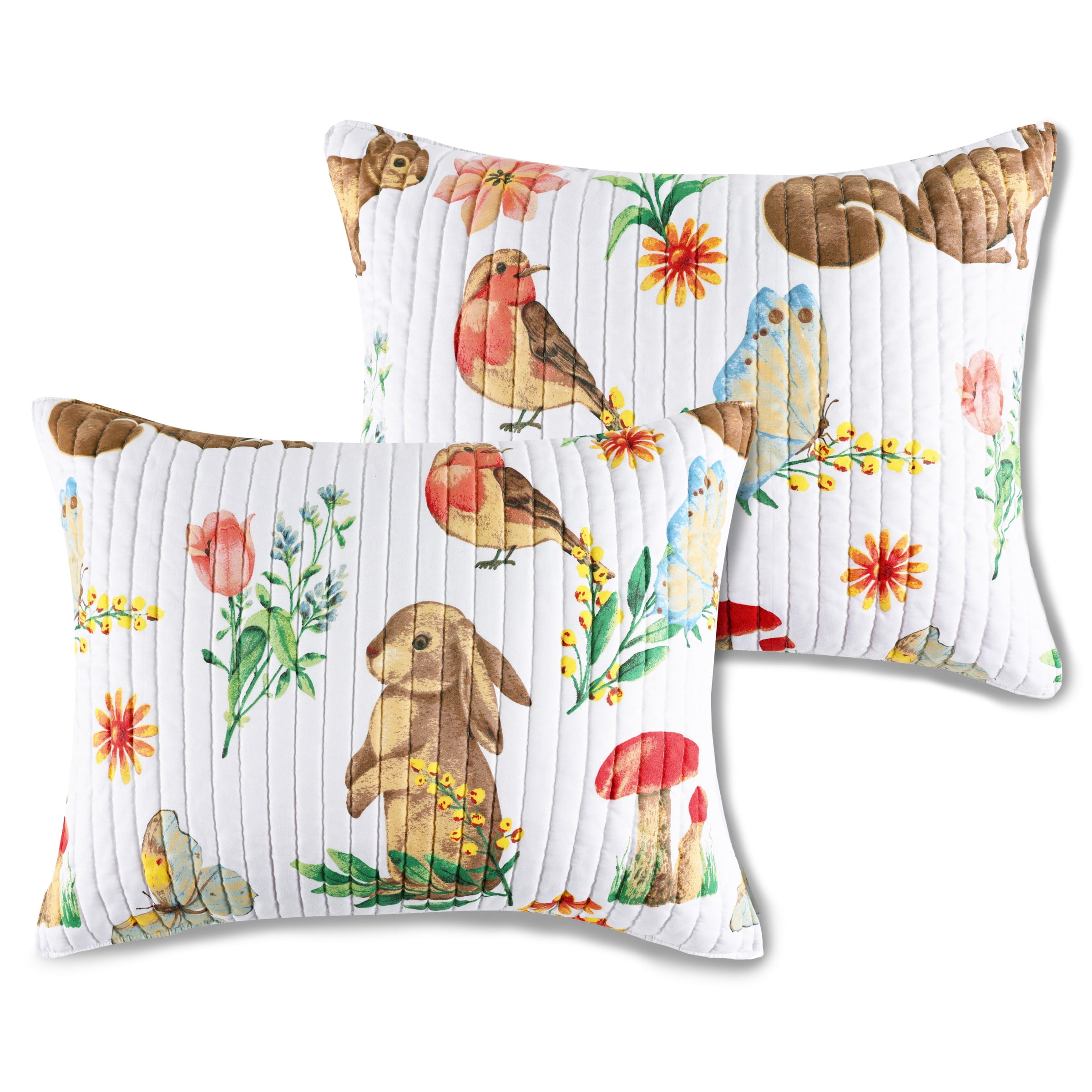 Greenland Home Fashions Willow Spring Garden Pillow Sham, Teen-Adult, Standard