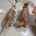 thumbnail image 7 of Cat Cockroach Clothing DIY Kit, Funny Cockroach Kitten Pet Cape Craft Set, Kitten Costume Accessories with Wings and Antenna, Cosplay Halloween Party Decoration for Cats and Small Dog(1Pc), 7 of 7