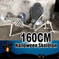 thumbnail image 1 of RXIRUCGD Home Kitchen Gadgets Skeleton Prop Human Full Size Skull Hand Life Body Anatomy Model Decor, 1 of 8
