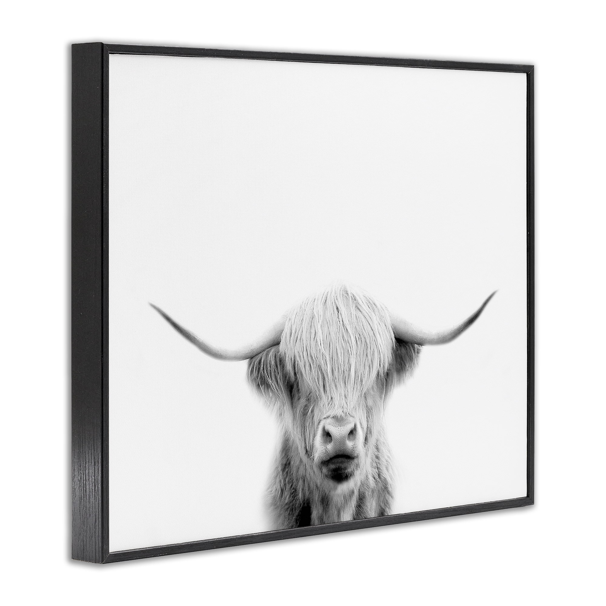 Stupell Industries Scottish Cow Portrait Black Framed Giclee Art, design by Leah Straatsma