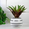 thumbnail image 2 of Northlight 11" Aloe Artificial Potted Plant - Green/Purple, 2 of 2