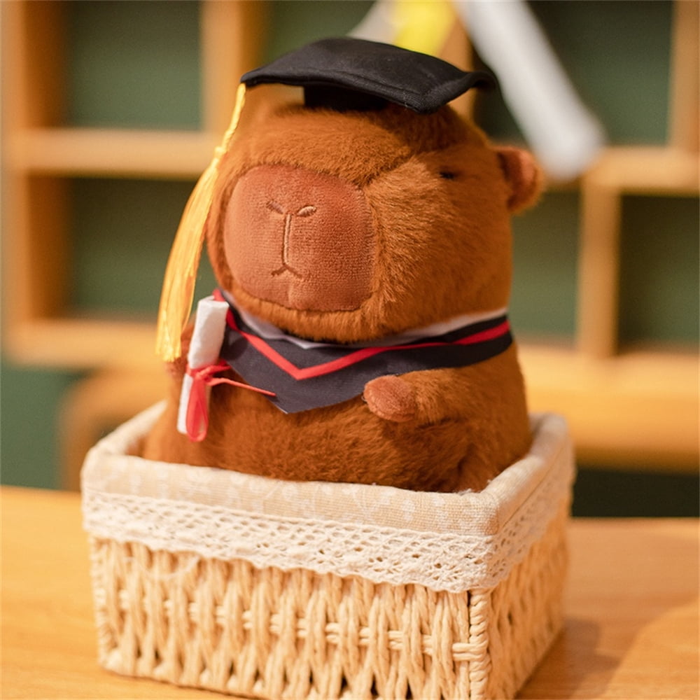 8.66" Dr. Capybara Plush Toy Adorable Fluffy Capybara Plush Toy, Hypoallergenic Gift for Medical Students, Doctors and Kids