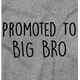 thumbnail image 2 of Promoted to Big Brother Announcement Youth T Shirt Tee Boys Infant Toddler Brisco Brands 4T, 2 of 5