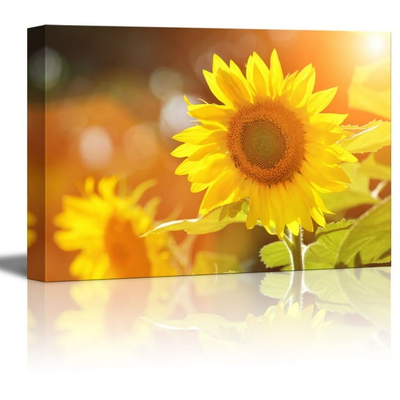 Canvas Prints Wall Art - Big Beautiful Yellow Sunflowers in a Sunny Day | Modern Wall Decor/Home Decoration Stretched Gallery Canvas Wrap Giclee Print & Ready to Hang - 32" x 48"