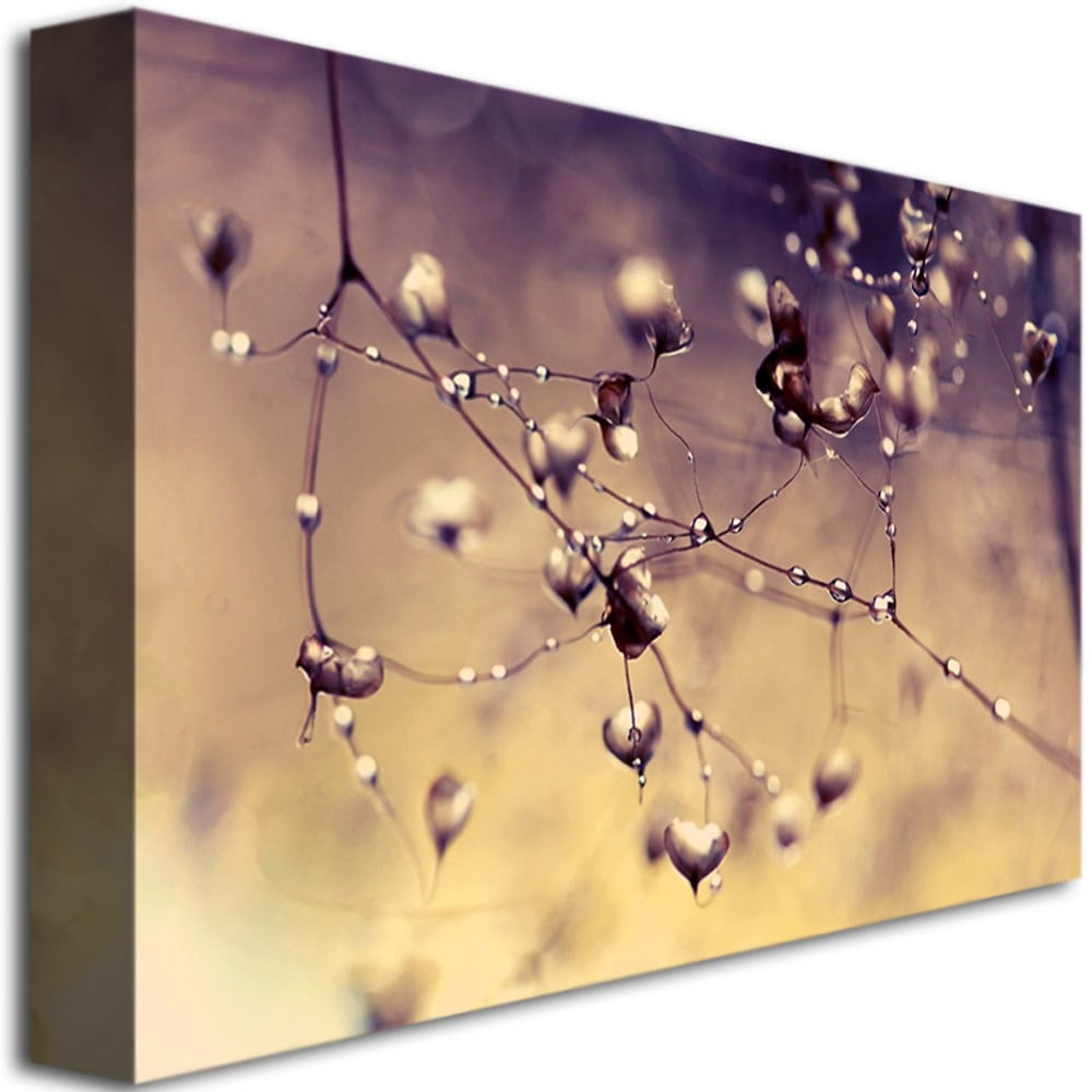 Trademark Fine Art "Little Adventures" Canvas Art by Beata Czyzowska Young