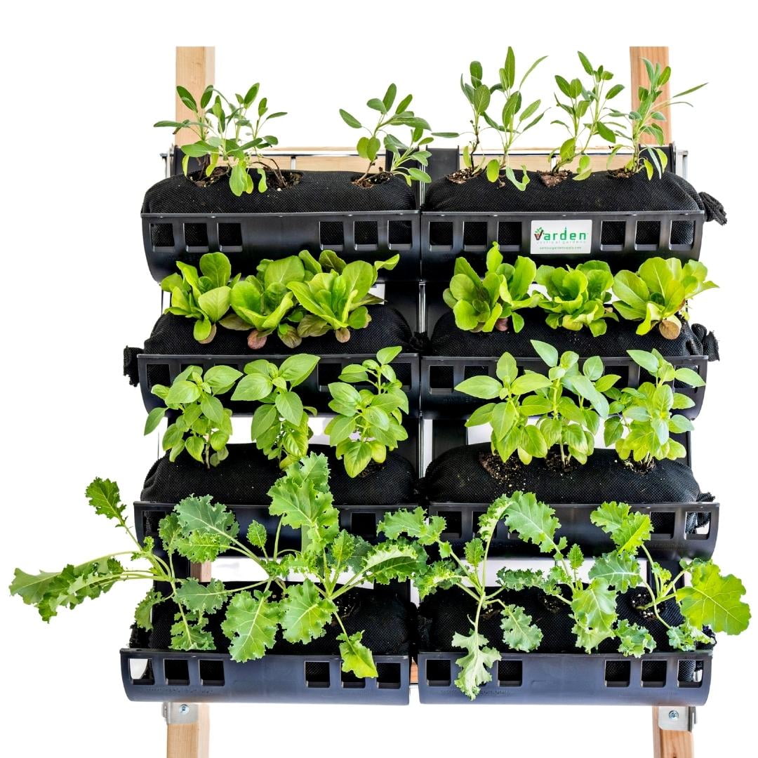 Varden Vertical Garden 24 Self Watering, 4 Row, 24 Plant, Wall