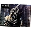 Alien Poster Metal Sign 8Inx 12In Art Print On Metal 8x12 Multi-Color Square Adults Best Posters
