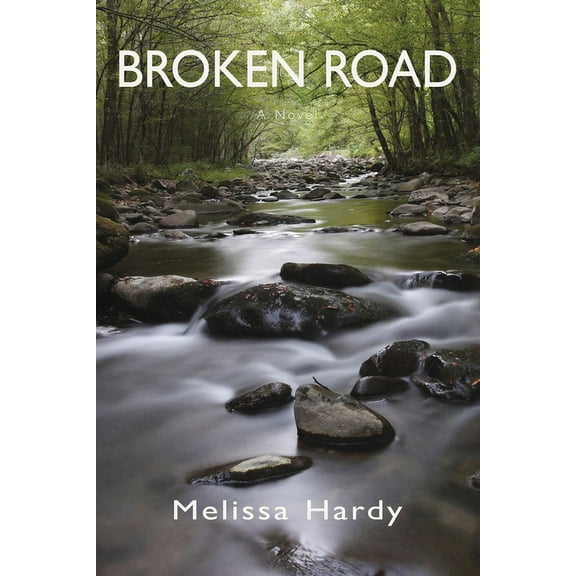 Broken Road : A Novel (Paperback)