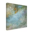 thumbnail image 2 of Trademark Fine Art 'Pastel Currents II' Canvas Art by Sheila Finch, 2 of 4