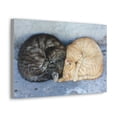 thumbnail image 2 of Funny Wild Cat Silly Wild Cat Couples Wall Art Ready to Hang Unframed, 2 of 18