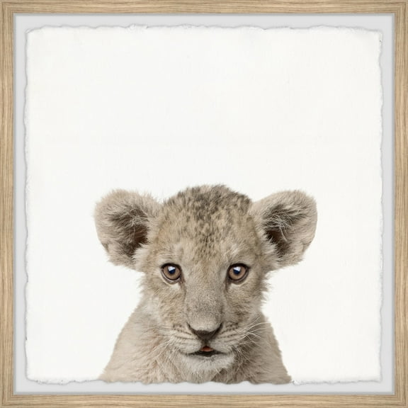 Marmont Hill Cub in White Framed Wall Art