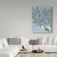 thumbnail image 3 of Trademark Fine Art 'Fox In Snow' Canvas Art by Harro Maass, 3 of 3