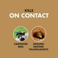 Spectracide Foam Insecticide & Pesticide Carpenter Bee & Nesting