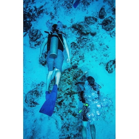 Two scuba divers swimming Cozumel Mexico Canvas Art - Mike Raabe  Design Pics (12 x