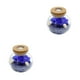 thumbnail image 3 of Naiovety Botella de cristal de los deseos: regalo de confesión único de belleza atemporal y flores verdaderas que vivirán para siempre azul azul 2piezas, 3 of 6