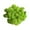 E, variant on Kiplyki Artificial Green Plant Immortal Fake Flower Moss Grass For Home Living Room Decorative Wall DIY Flower Mini Colorful Accessories