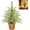 Green, variant on Pre-Lit Artificial Norfolk Pine Christmas Tree – Artificial Pine Xmas Tree, Tabletop Faux Tree with LED Lights & Bamboo-woven Base, Pre-Assembled Holiday Decor for Home or Office