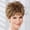 14 - Uptown Brown, variant on Vikki WhisperLite Wig by Paula Young - Short, Sassy Pixie Wig with Texture-Rich Layers and Natural Looking Hand-Tied Crown / Multi-tonal Shades of Blonde, Silver, Brown, and Red