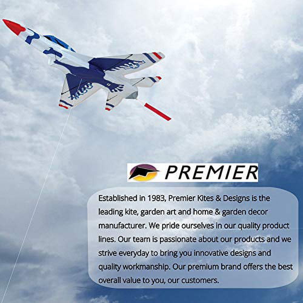 Premier Kites 3D Jet Kite F16 Thunderbird Design | Easy to Assemble and Easy to Fly 3D Kite | an Enjoyable Kite for Adults and a Thrilling Kite for Kids | Great 3D Kite for The Beach or Park