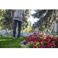 thumbnail image 3 of Sunday Organics Soil Booster - Liquid Vermicompost - 200 sq. ft. (32 oz.), 3 of 6
