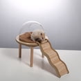 thumbnail image 5 of Productos de jardinería para hámsteres Wojinsi Bear, inodoro con bola de cristal para baño, muebles de interior, escalera de madera maciza, refugio, 5 of 5