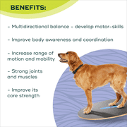 FitPAWS® Wobble Board - Dog Balance Training Equipment for Core Strength & Stability | Canine Fitness & Rehabilitation Tool - 36