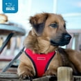 thumbnail image 3 of Voyager Step-In Air Mesh Dog Harness by Best Pet Supplies, 3 of 10