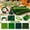 Green, variant on Pipe Cleaners Bulk, Chenille Stems Pipe Cleaners, Midnight Onyx Black Craft Pipe Cleaners For Summerween Spooky Spider Bat DIY Ornaments, 500 Pcs Jet Black 6mm x 12 Inch
