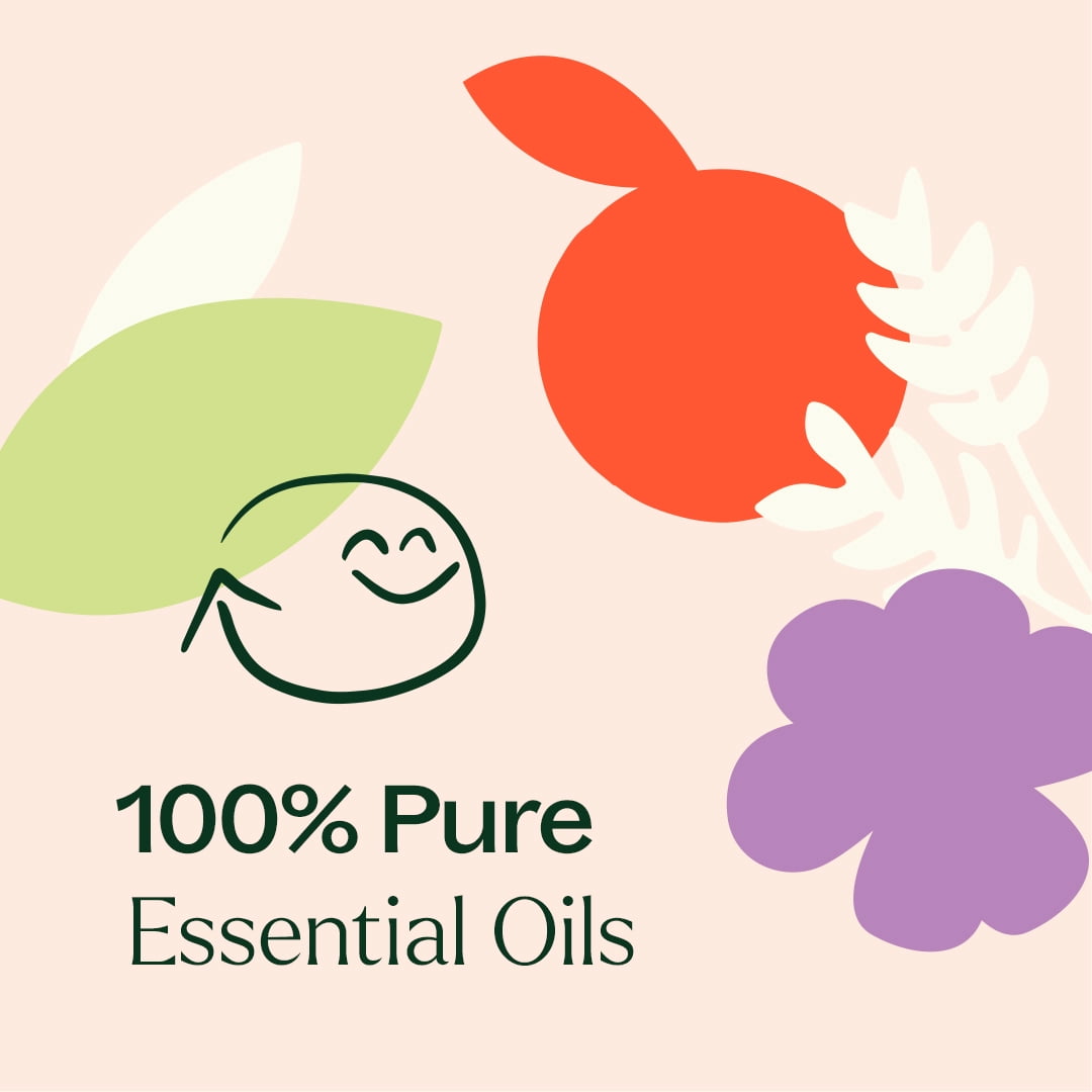 Plant Therapy The Spring Reset Essential Oil Blend 3 Set - Three Exclusive Spring-Focused Blends, Supports Relaxation, Clarity, and Refreshed Energy, Versatile Blends for Home, Work, Routines