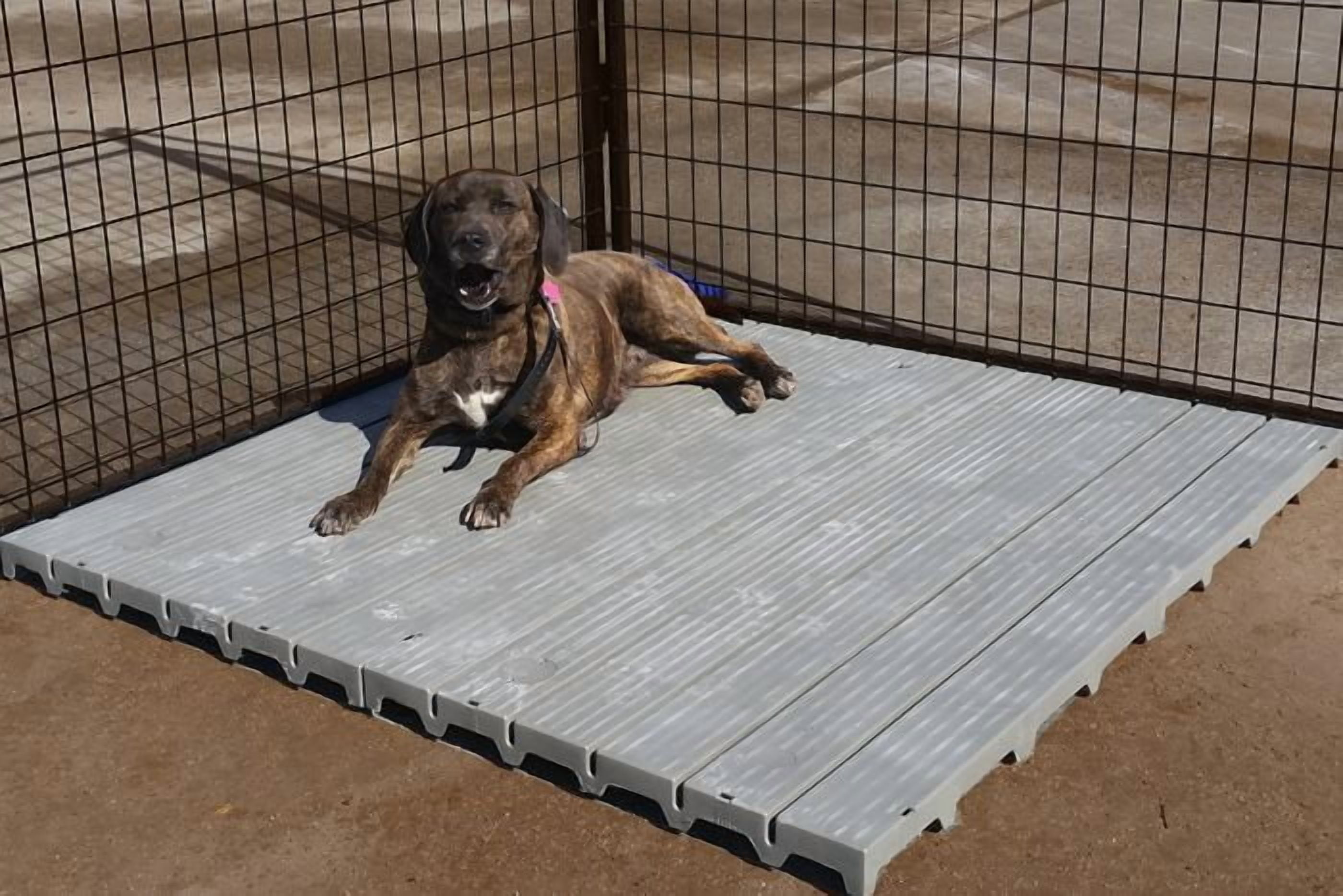 Single Large 2' X 4' Raised Dog Kennel Run Flooring Panel Gray
