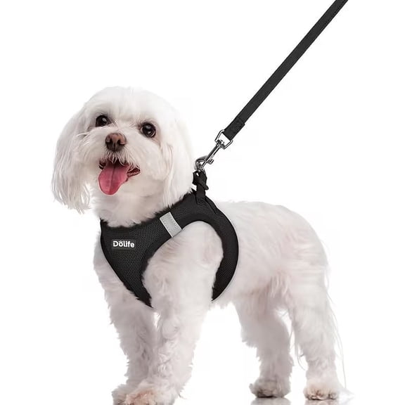 Breathable Pet Dog Harness, Lightweight Mesh Vest for Small & Medium Puppies, Reflective Outdoor Walking Dog Leash Set