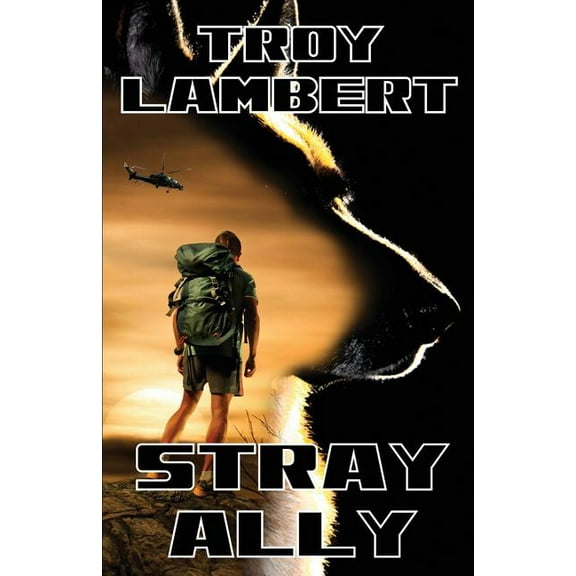 Stray Ally (Paperback)