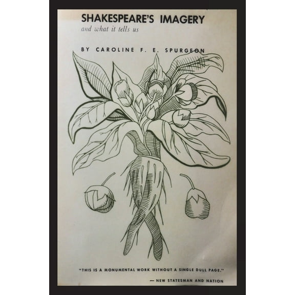 Shakespeare's Imagery and What it Tells Us, (Paperback)