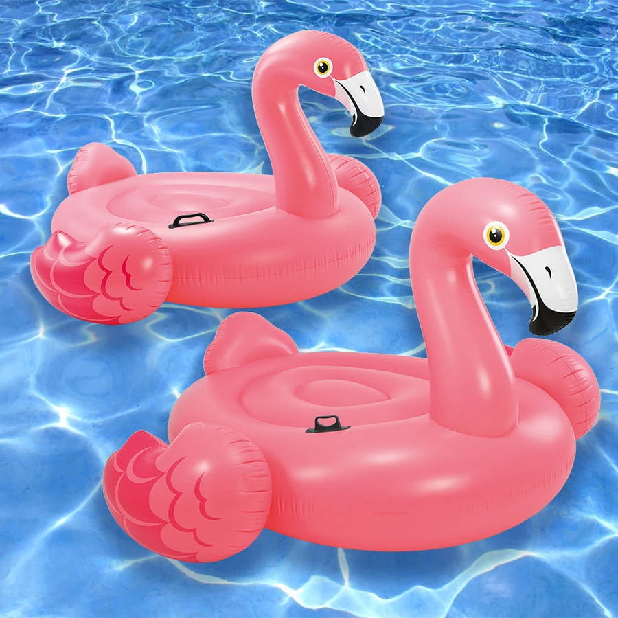 bird pool float