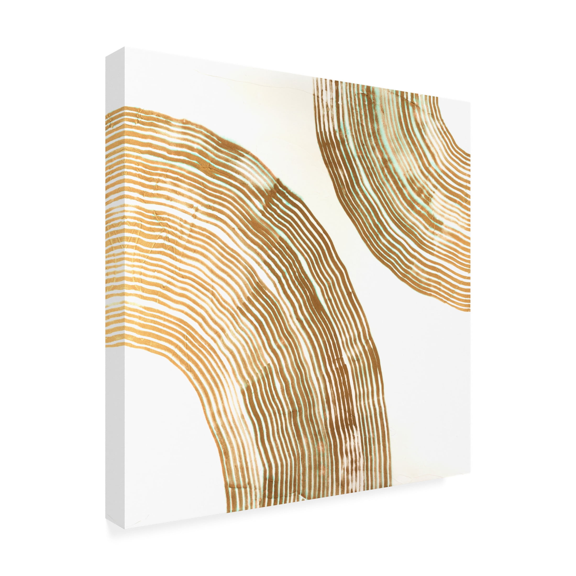 Canvas Wall Art - Vanna Lam 'Sisal II' Wall Art for Living Room, Bedroom, or Office Décor by Trademark Fine Art - 18 x 18 Inches