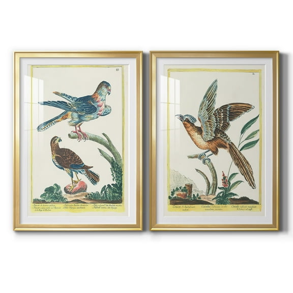 Wexford Home Pastel Birds III Premium Framed Print, 30.5" x 42.5" - Ready to Hang, Gold (Set of 2)