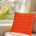 thumbnail image 5 of Clearance Under $5 Boovnll Throw Pillow Covers, Modern Stylish Soft & Cozy, Solid Color Velvet Pillow Covers 16x16" for Home, Living Room, Bedroom, Sofa, Couch, Home Decor, Pillow Covers, 5 of 6