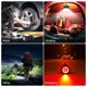 thumbnail image 5 of Farol de camping recargable LED de 1500 lúmenes, 8 modos de luz, color azul, 5 of 9