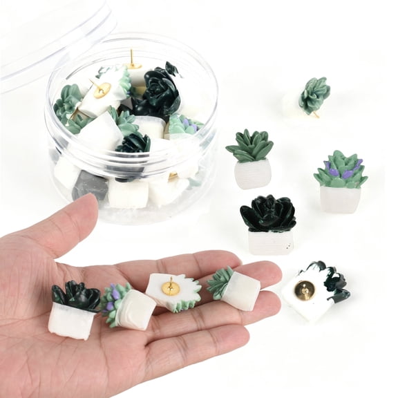 HUIANER 20Pcs Boxed Succulent Push Pins, Decorative Cute Wall Thumb Tacks for Cork Board, Home Office Supplies