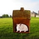 thumbnail image 4 of Hámster de cerámica de escondite- de arena para hámster- de polvo de chinchilla-Jaula de hábitat de de mascotas de animales Yinane casas de hámster, 4 of 8