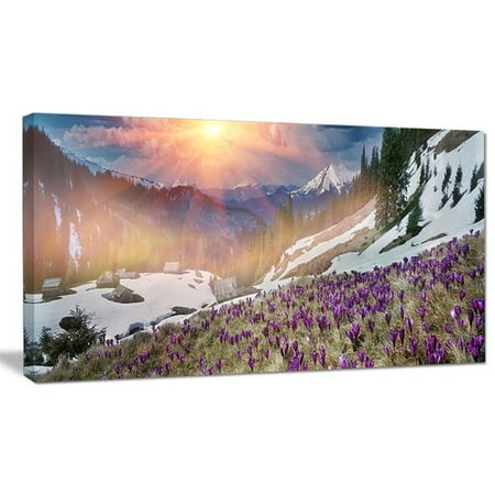 - Design Art 'Crocus Flowers in Carpathians' Graphic Art on Wrapped Canvas