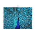thumbnail image 1 of Fotbe Beautiful Blue Peacock Alfombrilla de Secado para Cocina con Estampado, 18x24 Pulgadas, 1 of 7