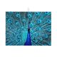 thumbnail image 1 of Fotbe Beautiful Blue Peacock Alfombrilla de Secado para Cocina con Estampado, 18x24 Pulgadas, 1 of 7