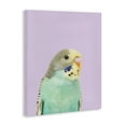 thumbnail image 4 of Stupell Industries Pastel Budgie Bird Animals Painting Wrapped Canvas Art Print Wall Art, 16 x 20, 4 of 8