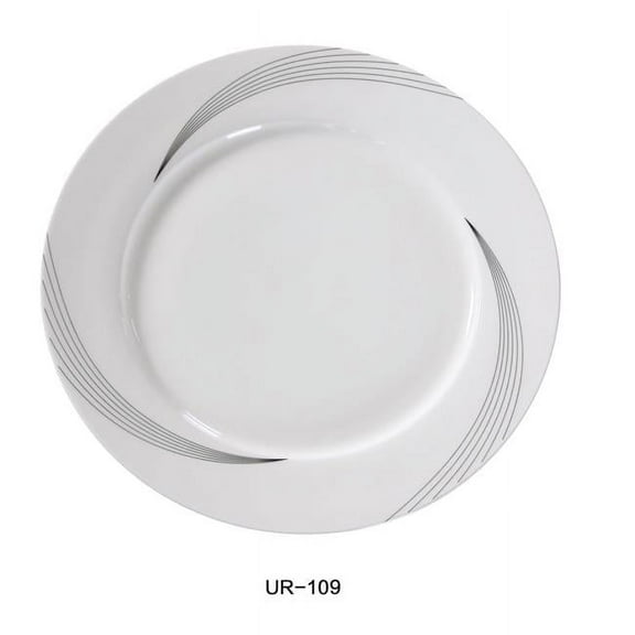 9 in. Dia. Porcelain Dinner Plate, Bone White - Pack of 24