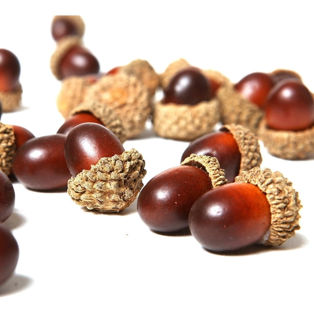 Bellotas artificiales a granel, espuma de poliestireno de primera calidad, simulación de tapa de bellota natural, nueces falsas de colores mezclados para suministros de manualidades y decoraciones
