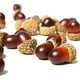 thumbnail image 1 of Bellotas artificiales a granel, espuma de poliestireno de primera calidad, simulación de tapa de bellota natural, nueces falsas de colores mezclados para suministros de manualidades y decoraciones, 1 of 7