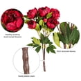 thumbnail image 6 of Vickerman 23" Artificial Red Peony Bush., 6 of 8