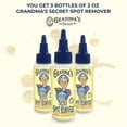 thumbnail image 4 of (5 pack) Grandma's Secret Spot Remover, 2-Ounce (3 Pack of 2oz), 4 of 9